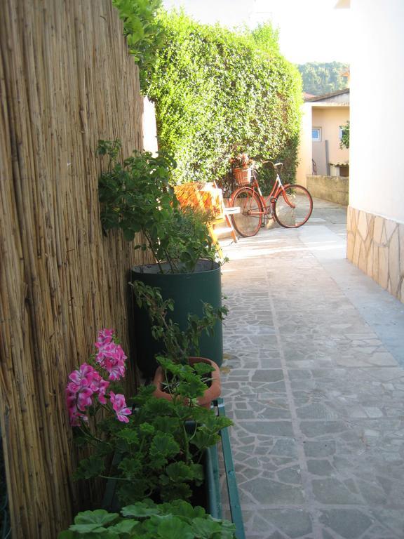 ييلسا Apartment Bosiljak الغرفة الصورة